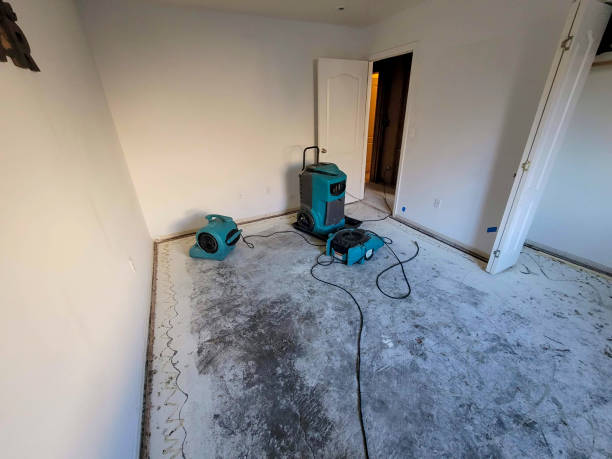 Best Water damage repair service  in Parrish, AL