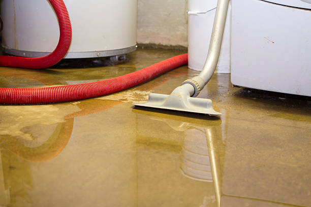 Best Water damage restoration near me  in Parrish, AL